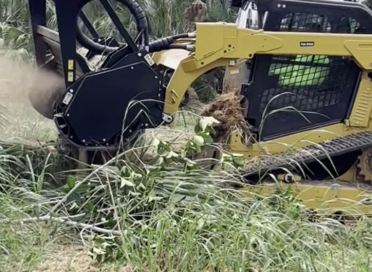 305UGC tracked loader with forestry mulcher clearing brush in Homestead Florida